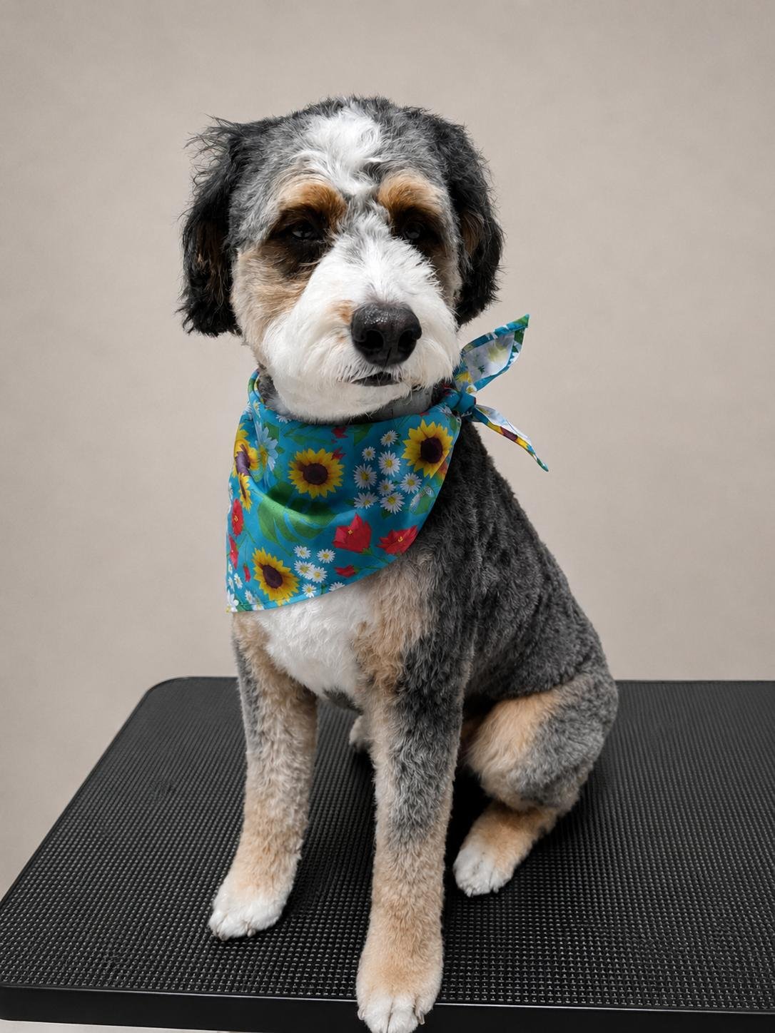 Grooming result